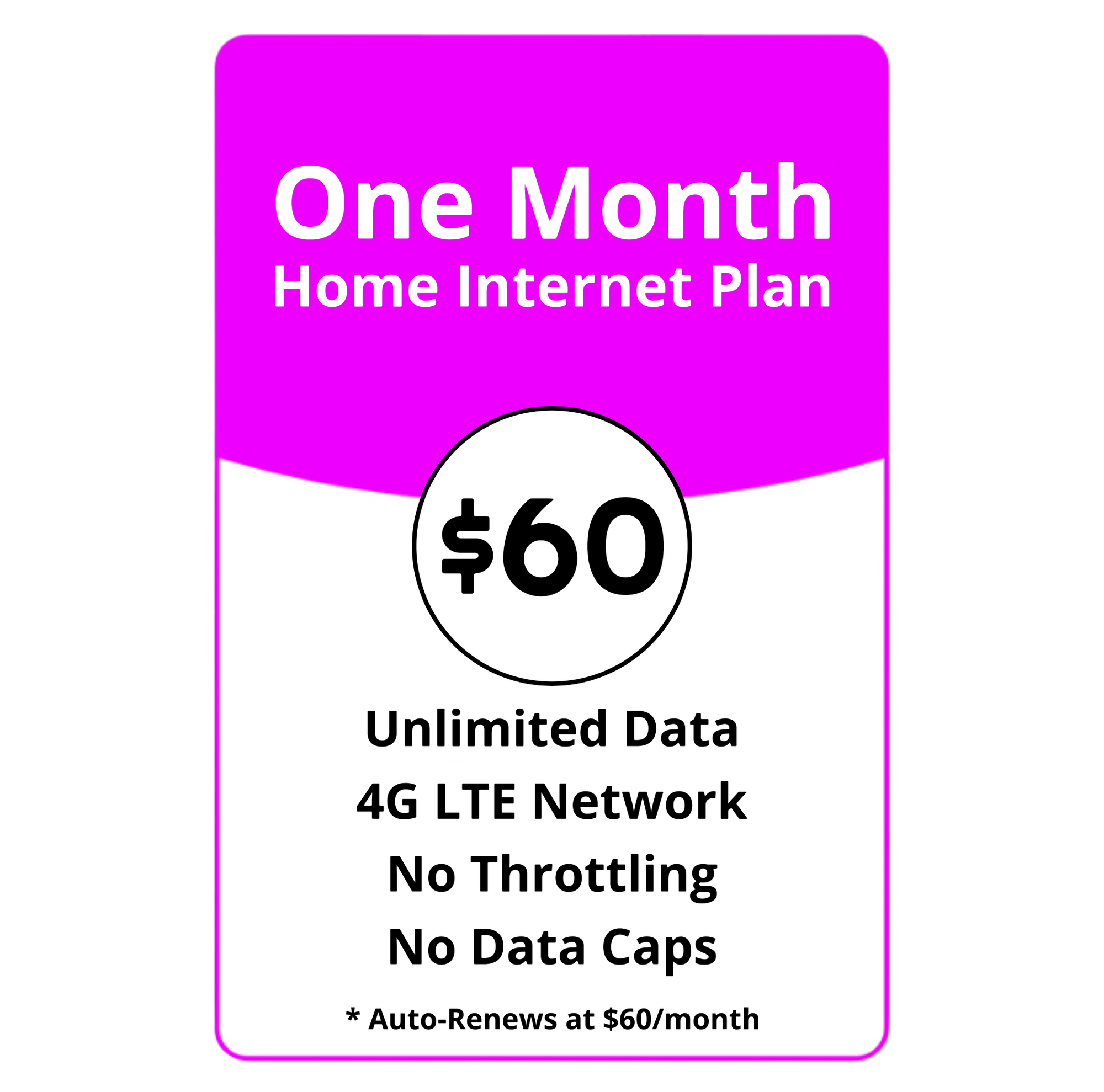 Home Internet Plan - 30 Days